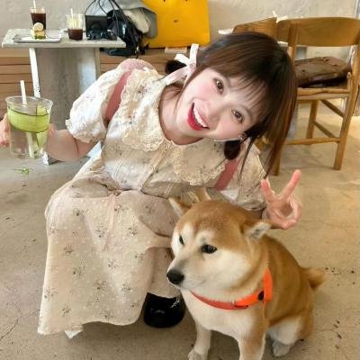 剧终集海报